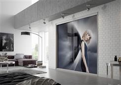 ארון זכוכית עם איור